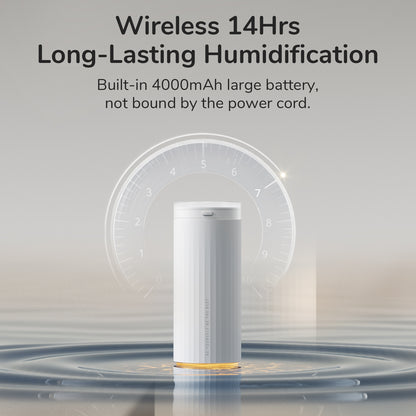 500ml Desk Humidifier Night Light